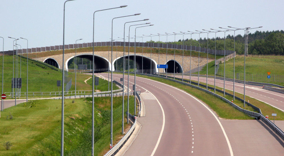 fot. Shutterstock Odstrzał sanitarny dzików wzdłuż autostrady A2 – niezbędny w walce z ASF