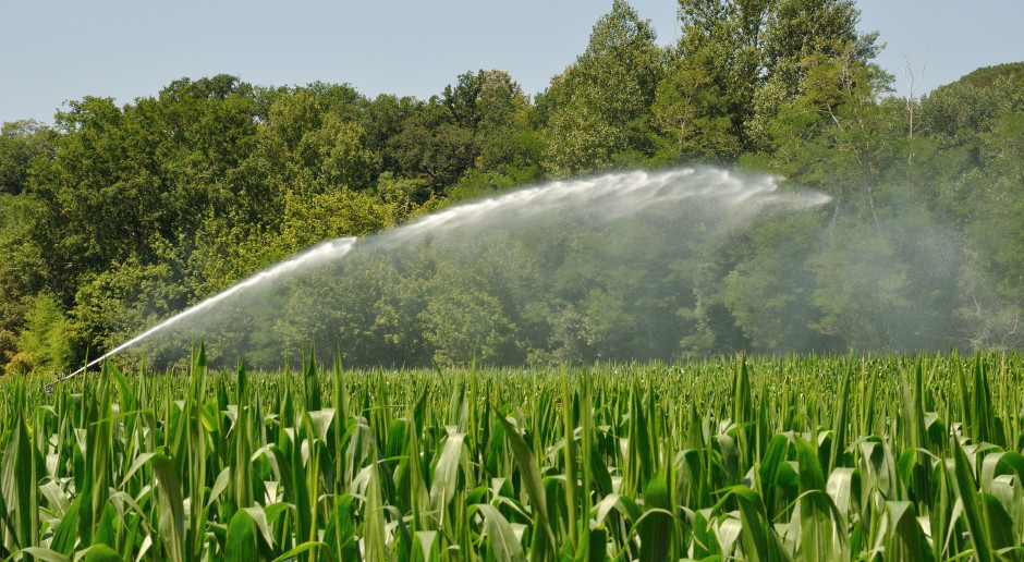 Fot. Shutterstock We wtorek rząd ma się zająć nowelą Prawa wodnego ograniczającą biurokrację