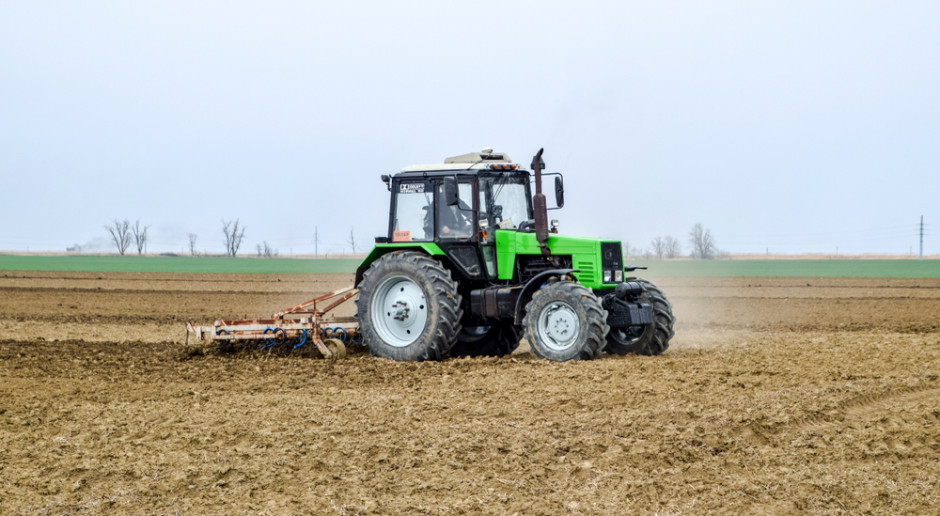 W bieżącym roku powierzchnia zasiewów zbóż podstawowych z mieszankami zbożowymi jest większa od ubiegłorocznej; Fot. Shutterstock Wieksza powierzchnia zasiewów zbóż w tym roku