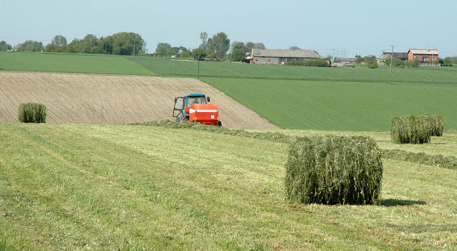 Do wypadku doszło na łące, w trakcie belowania siana.; Fot. Farmer Prasa wciągnęła nastolatkowi rękę. Pomagał przy sianokosach
