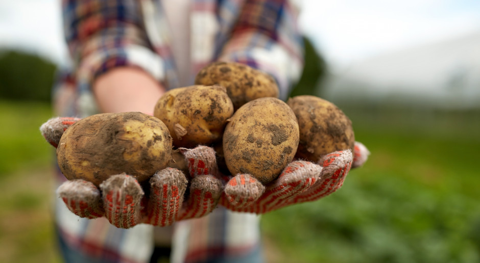 Polska ma potencjał, by stać się dużym graczem na rynku żywności ekologicznej; Fot. Shutterstock Nie wykorzystujemy potencjału ekologicznego rolnictwa
