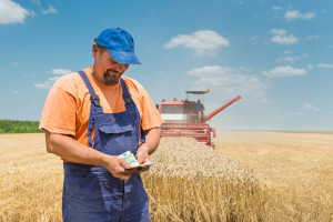 Dopłaty do zbóż 2024. Jak policzyć, ile rolnik dostanie na konto?
