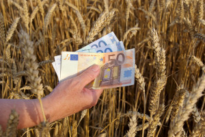 Jurgiel: Propozycja budżetu KE dla rolnictwa jest wstępna; naszym celem wyrównanie dopłat