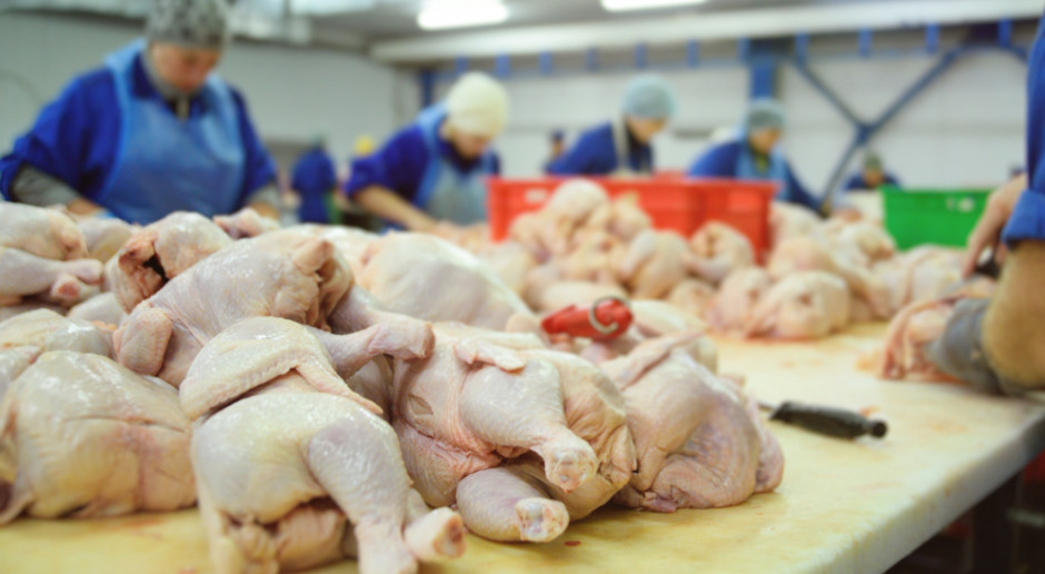 Fot. Shutterstock Wzrost produkcji kurczaków w Rosji przekracza wzrost popytu