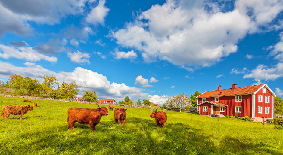 Fot. Shutterstock.com ETO: W Unii szybko spada liczba gospodarstw rolnych
