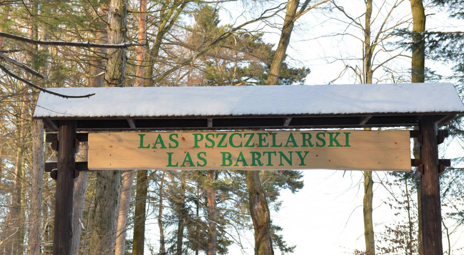 Fot. Facebook/Las pszczelarski, las bartny W Odrzechowej przypominają o symbiozie lasu i pszczół