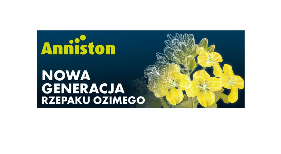 Anniston - nowa generacja rzepaku ozimego