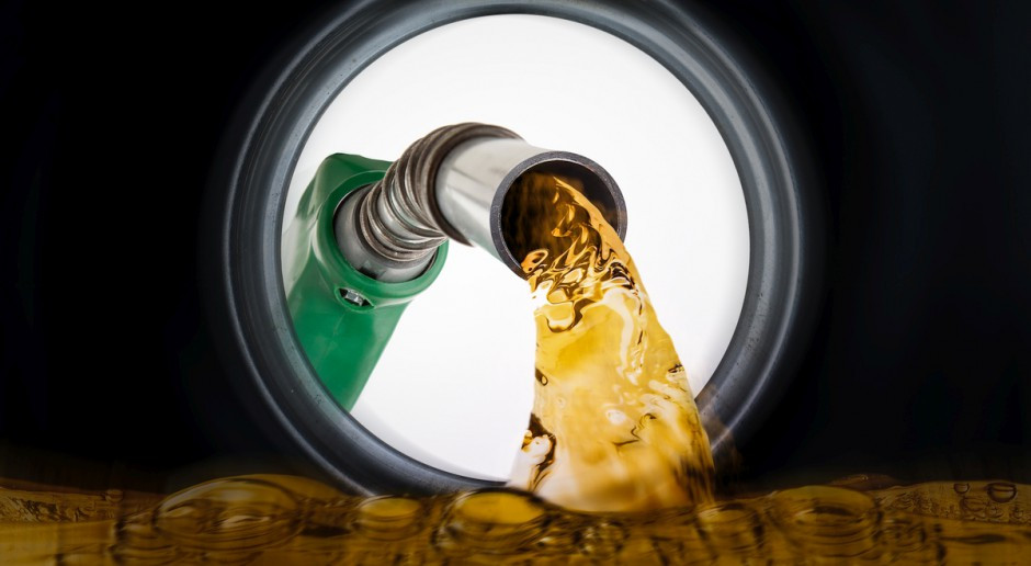 Fot. Shutterstock Copa i Cogeca apelują o stabilną politykę UE w zakresie OZE po 2020 r.