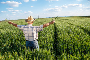 Kiedy rolnik może sprzedać nieruchomość rolną?