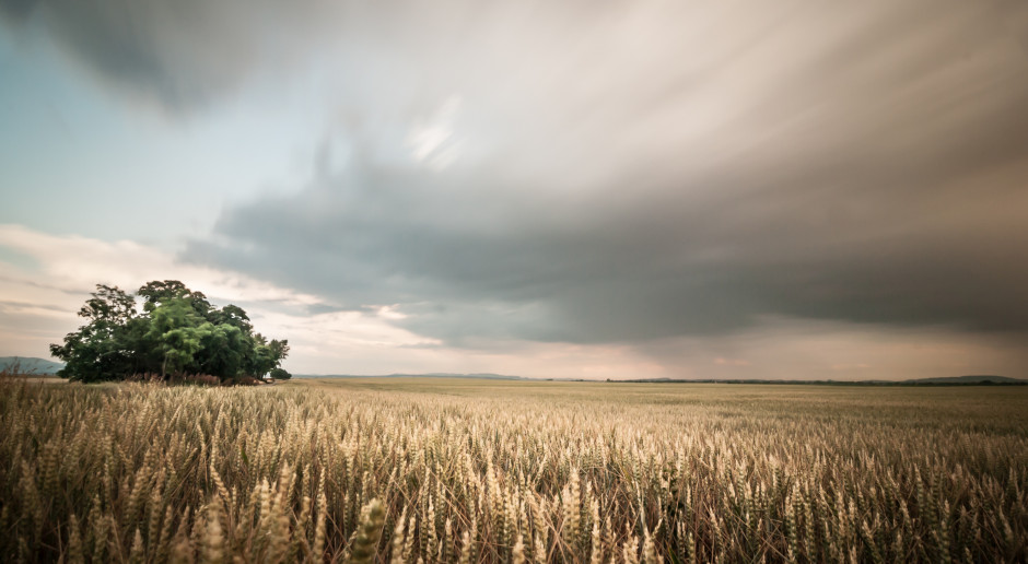 Fot. Shutterstock Prognoza pogody na 18 i 19 czerwca