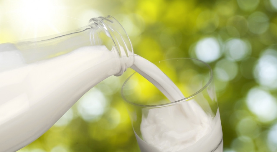 Fot. Shutterstock Rumunia: Wzrost ilości wyprodukowanego mleka