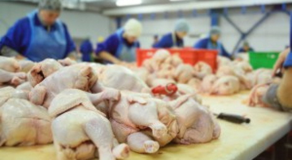 Fot. Shuttestock Cła antydumpingowe na mięso drobiowe oburzają Brazylię