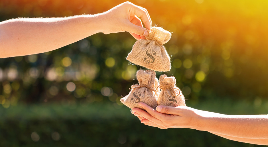 Fot. Shutterstock Ardanowski: KOWR przekazał dla Mieszkania plus 60 tys. ha w miastach i 200 tys. ha na wsi