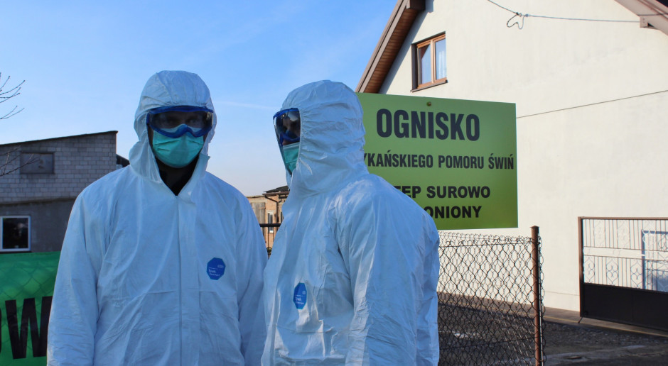 Nowe przypadki choroby u trzody chlewnej stwierdzono na podstawie wyników badań przeprowadzonych przez krajowe laboratorium referencyjne ds. ASF; Fot. GT Wykryto cztery nowe ogniska ASF