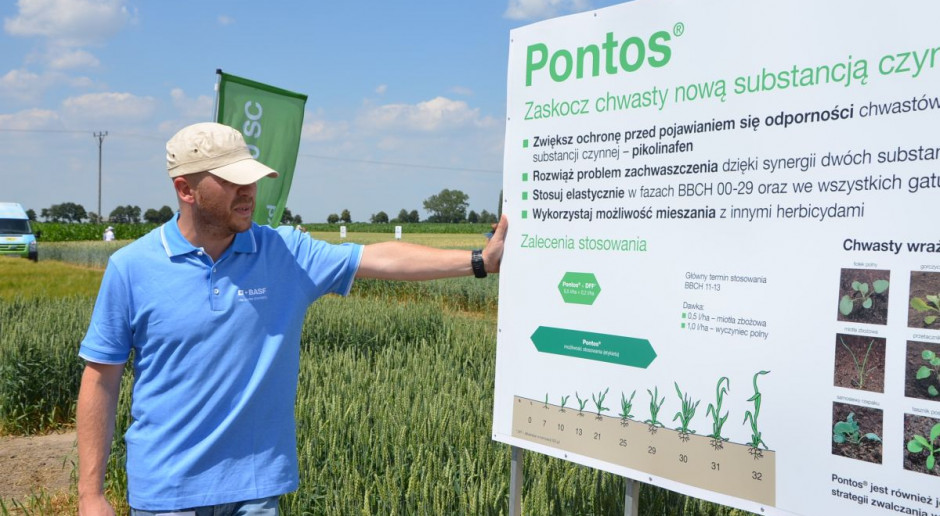 Pontos to nowy herbicyd jesienny BASF, fot. M. Tyszka BASF pokazał nowy herbicyd z nową substancją czynną