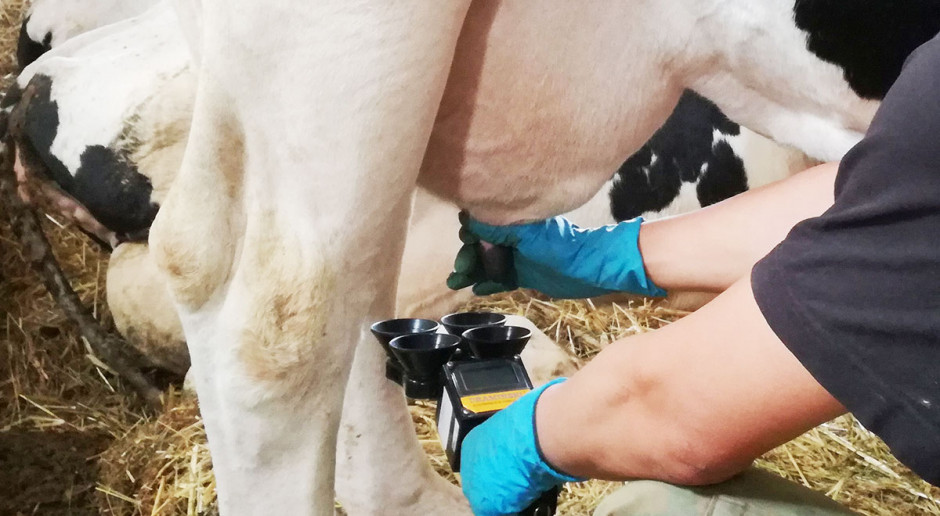 Zachęceni pozytywnym wynikiem testu tamtego urządzenia sięgnęliśmy po wykrywacz mastitis produkowany przez olsztyńskiego producenta urządzeń diagnostycznych dla rolnictwa Szybkie wykrywanie podklinicznego mastitis