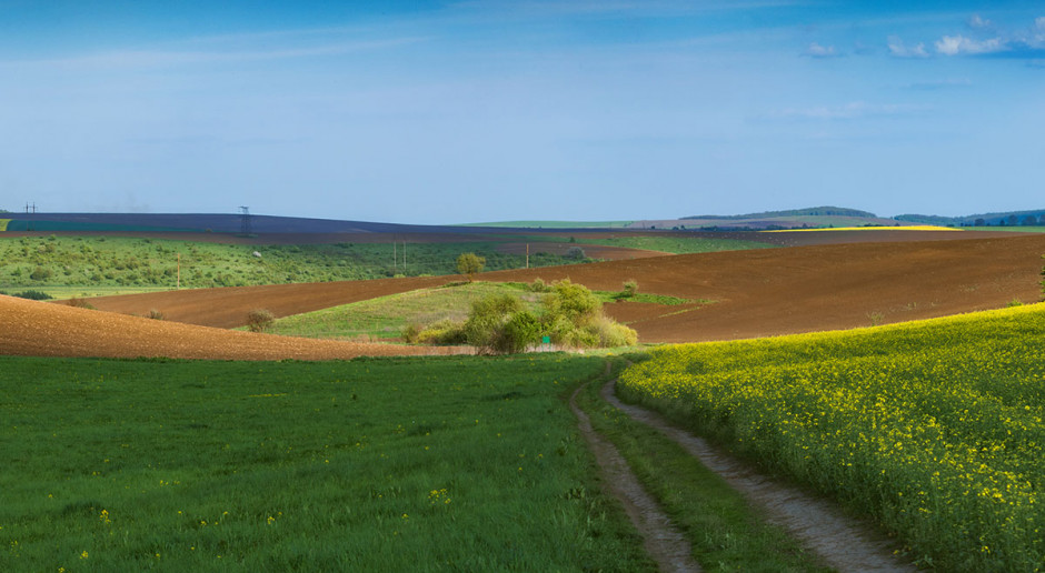 Wolny obrót handlowy ziemią rolniczą na Ukrainie jest wciąż niemożliwy. Rząd z roku na rok przedłuża obowiązujące zakazy. Po restrukturyzacji państwowych gospodarstw rolnych znaczna część gruntów znalazła się jednak w rękach byłych pracowników dawnych PGR Spełniamy marzenia o ukraińskich czarnoziemach