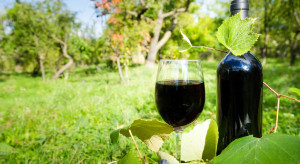 Z powodu inflacji Francuzi piją mniej wina
