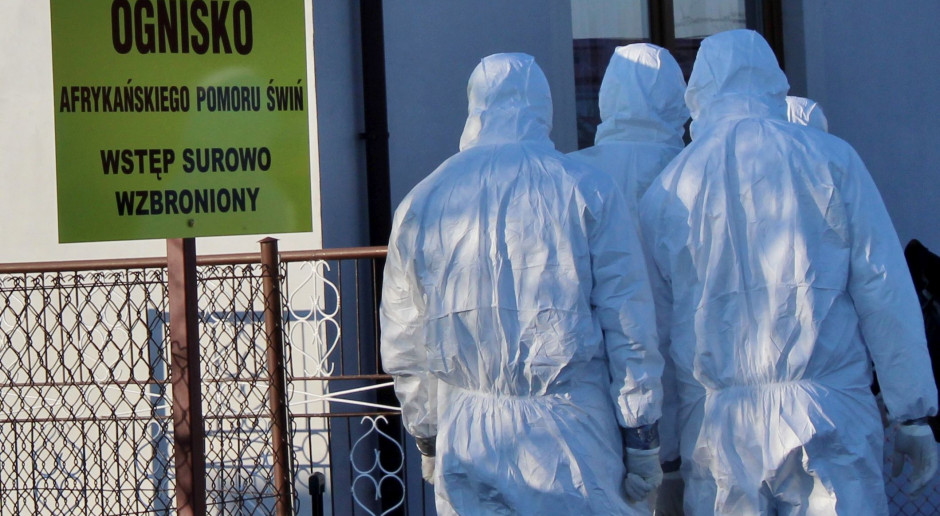Fot. GT Warmińsko-mazurskie: Pierwsze ognisko ASF u trzody chlewnej