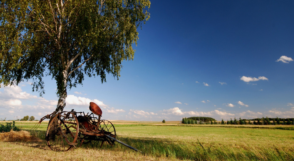 fot. Shutterstock „Restrukturyzacja małych gospodarstw” raczej niechętnie?