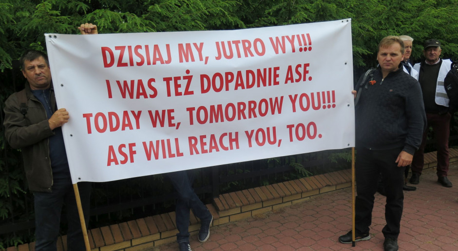 fot. I.Dyba Sytuacja producentów świń z terenów dotkniętych ASF - jest dramatyczna