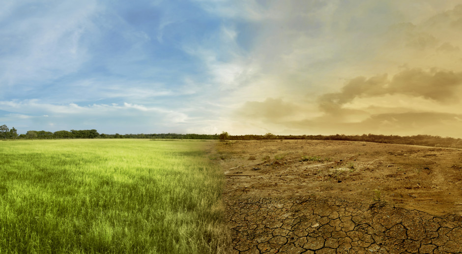 Fot. Shutterstock Ubezpieczenia od suszy wyparowały