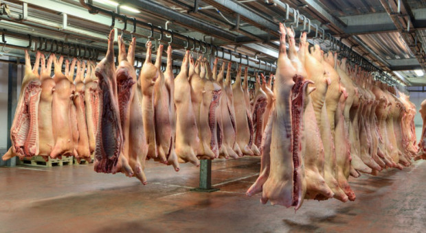 Chiny znoszą zakaz importu brytyjskiej wołowiny