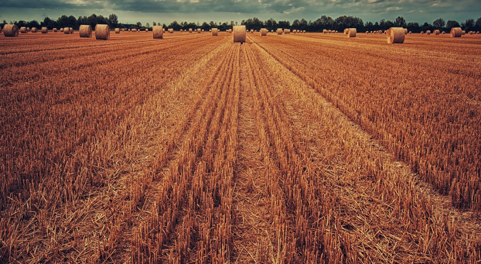 Fot.pixabay.com Ukraina: Zbiory zbóż trwają już w 12 obwodach