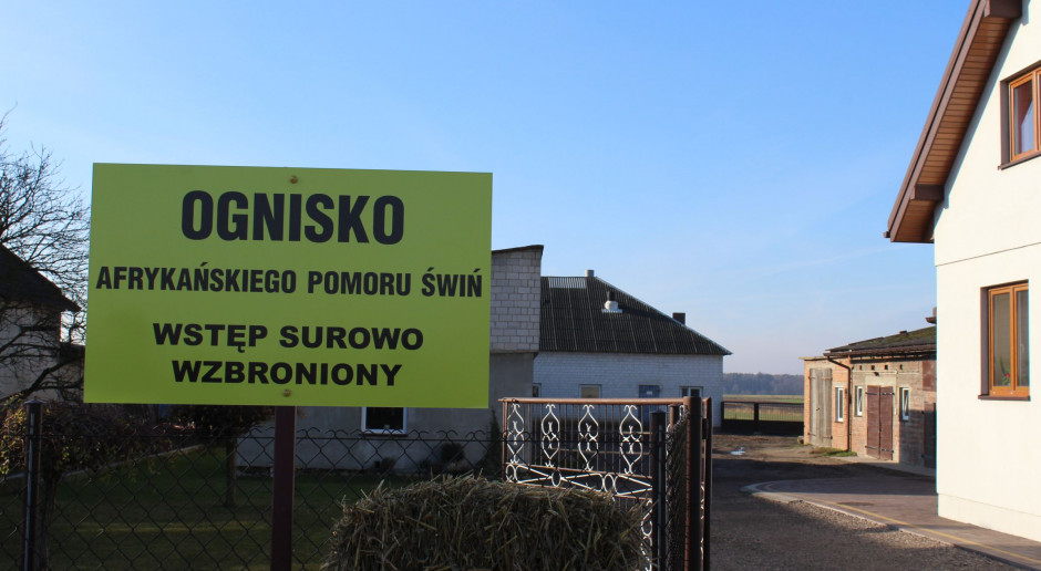 Do dnia 27 czerwca 2018 r. potwierdzono 144 ogniska ASF w kraju; Fot. G. Tomczyk Aż 10 nowych ognisk ASF