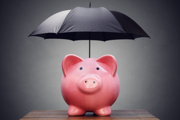 Rząd chce zwiększyć wsparcie dla producentów świń w ramach walki z afrykańskim pomorem świń (ASF), fot. Shutterstock Rząd za zwiększeniem wsparcia dla producentów świń w ramach walki z ASF