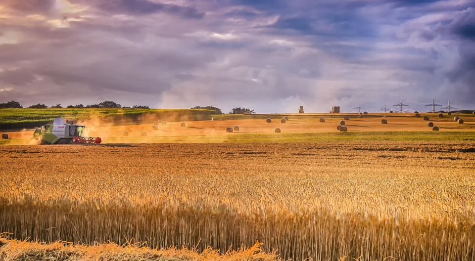 Fot.pixabay.com Hiszpania spodziewa się znacznie większych zbiorów zbóż