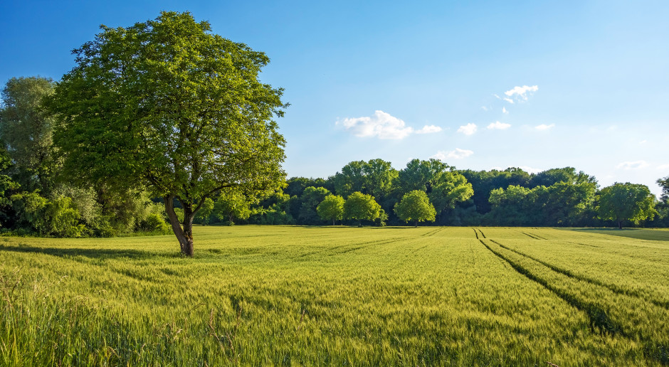 Fot. Shutterstock Opolskie: Ponad 700 sołectw jest w Regionalnym Programie Odnowy Wsi