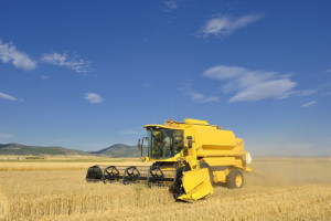 Ukraina: Zebrano już 3,5 mln ton zbóż