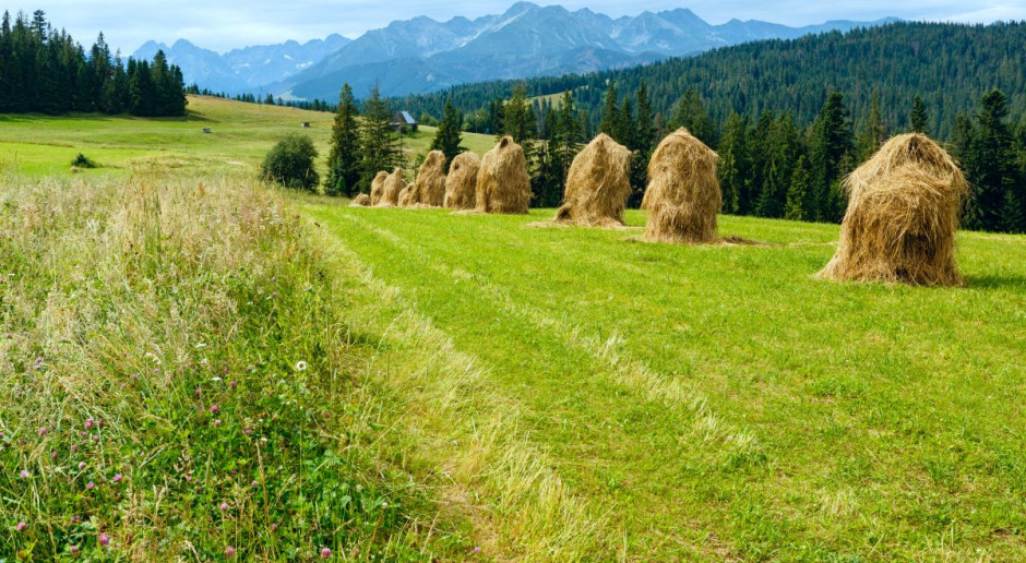 Ardanowski: chcemy, żeby rolnictwo wróciło w góry
