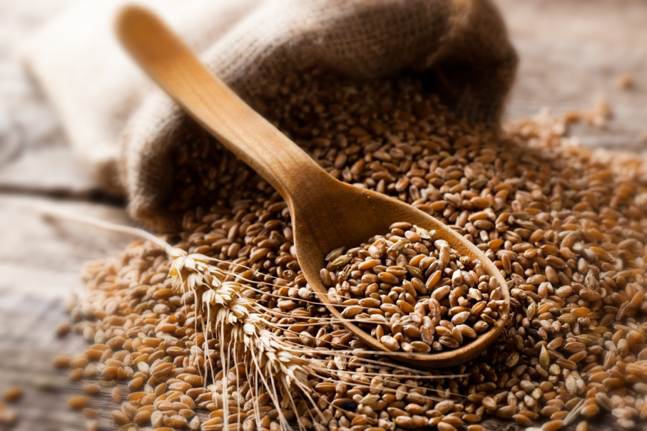 Cena pszenicy na MATIF wzrosła 1,7 proc., fot. Shutterstock
