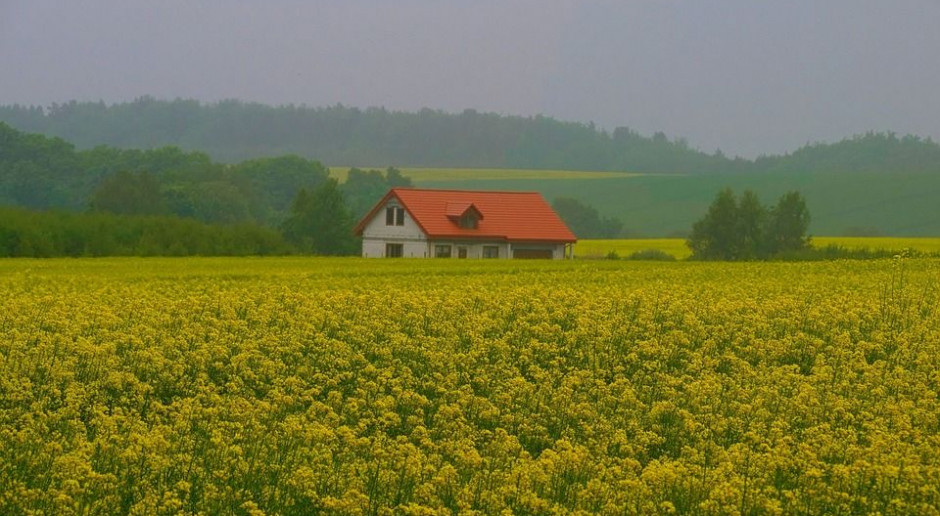 fot. Pixabay Łatwiej będzie uzyskać pomoc z PROW za przekazanie małego gospodarstwa
