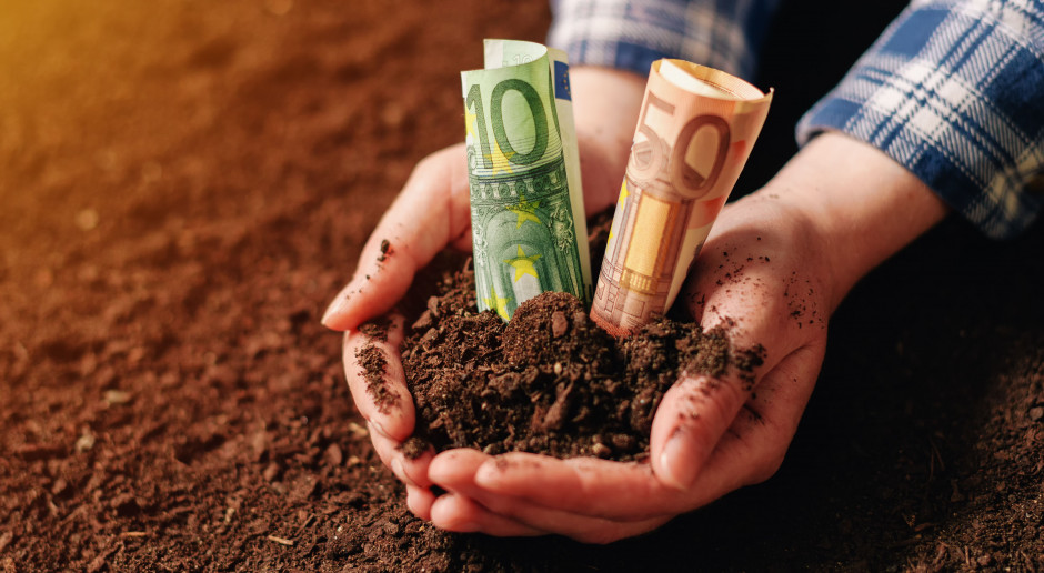 fot. Shutterstock Dopłaty bezpośrednie to 400 plus dla większości rolników w Polsce