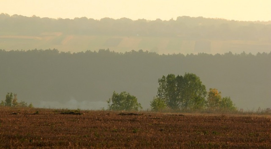 Fot.pixabay.com Ukraina: Rosną kradzieże zbiorów z pól