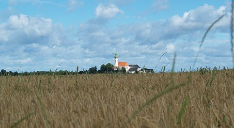 Fot. pixabay Lubelskie: Cztery ogniska koronawirusa w powiecie bialskim