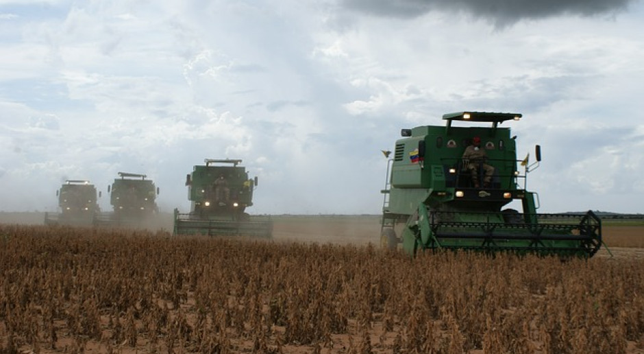 Fot.pixabay.com USDA: Wyższa prognoza światowej produkcji soi w sezonie 2018/2019