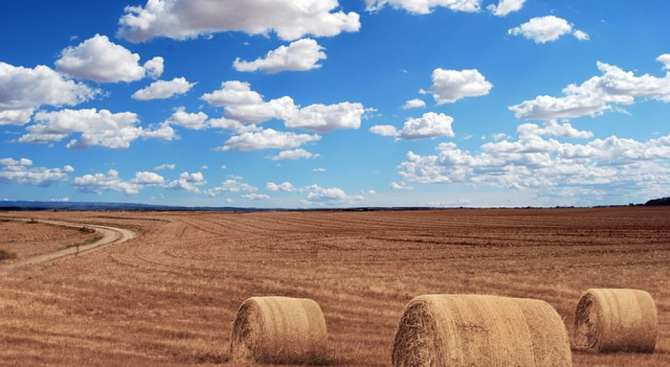 Fot.pixabay.com Rosja: Do 16 lipca zebrano 29,5 miliona ton zboża