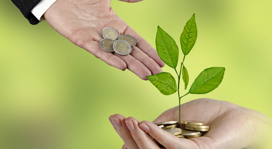 fot. Shutterstock Kiedy poznamy stawki dopłat bezpośrednich za 2018 rok?
