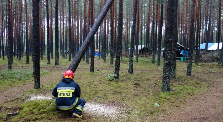 Fot. straz.gov.pl PSP: W czwartek 1509 interwencji ze względu na burze