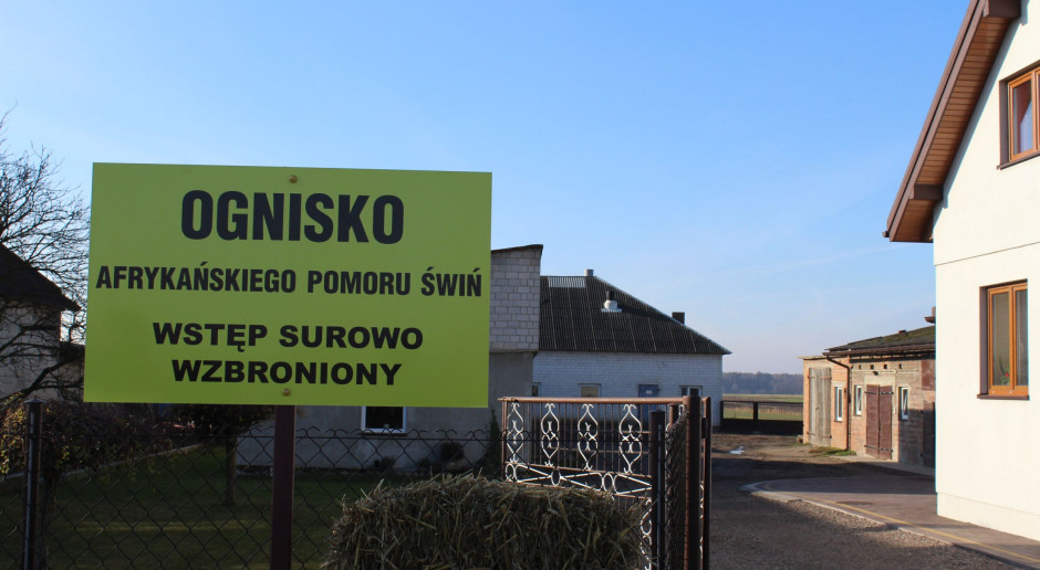 fot. G.Tomczyk Przy ognisku ASF rolnicy muszą dostać pełne wyrównanie poniesionych strat