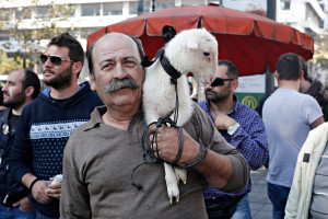 Bułgarscy rolnicy protestują przeciwko masowemu ubojowi kóz i owiec