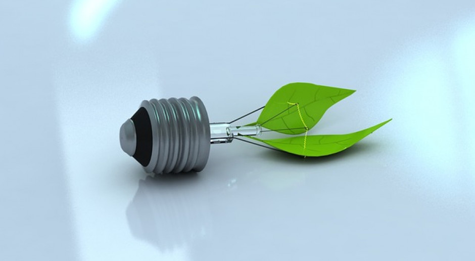 Fot.pixabay.com Programy zrównoważonego rozwoju w Banku BGŻ BNP Paribas