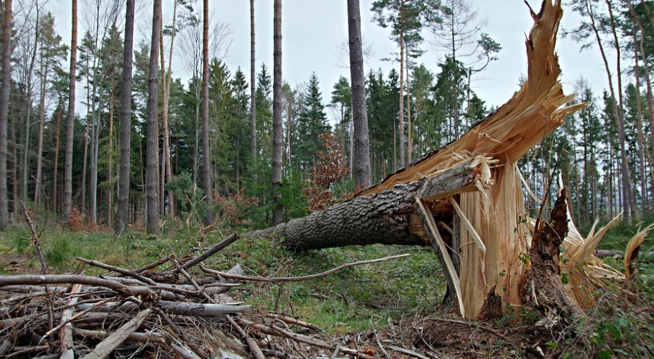 fot. Pixabay Ile wyniosła ubiegłoroczna pomoc po sierpniowych szkodach?