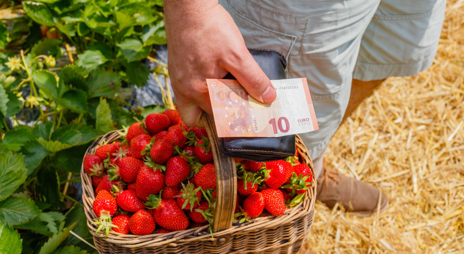fot. Shutterstock Posłowie PSL obawiają się o dopłaty bezpośrednie i dochody sadowników