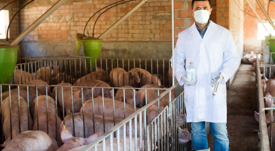 Fot. Shuttestock UE: Surowsze zasady dotyczące stosowania antybiotyków u zwierząt