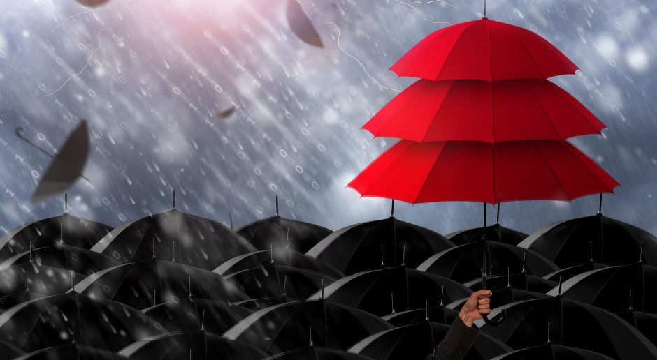 fot. Shutterstock Spada liczba polis i ubezpieczonych hektarów